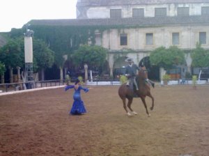 Momento del espectáculo ecuestre en las caballerizas reales de Córdoba
